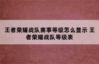 王者荣耀战队赛事等级怎么显示 王者荣耀战队等级表